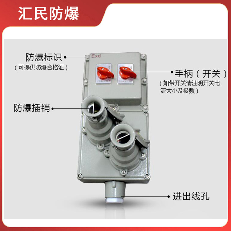 安徽匯民防爆電氣有限公司BXX51防爆動(dòng)力檢修箱 安徽匯民防爆電氣有限公司BXX51防爆動(dòng)力檢修箱